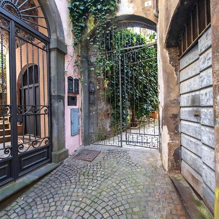 Apartament Casa Dell'Edera P Orvieto Zewnętrze zdjęcie